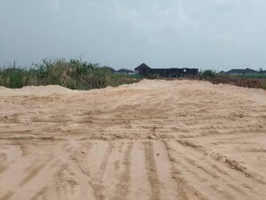 whatsapp image 2026 01 16 at 23.41.52 2ddd901e